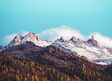 2026世界杯手机观看平台-友谊赛变友尽赛？伊沃比战约旦上演WWE动作引发两队激烈冲突